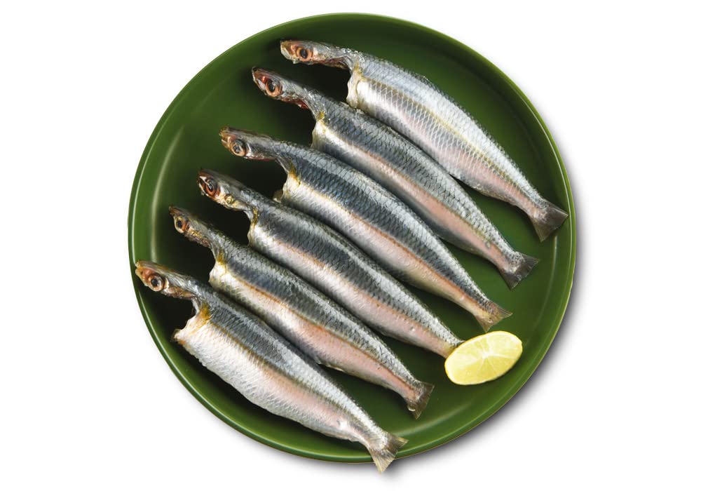 Fresh Sardine Fish Meat (kg)